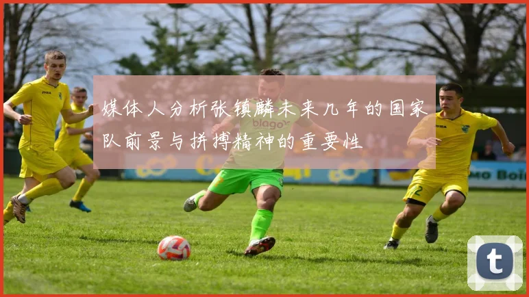媒体人分析张镇麟未来几年的国家队前景与拼搏精神的重要性