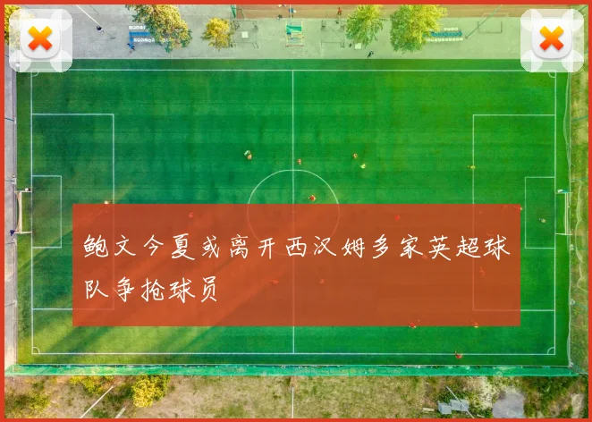 鲍文今夏或离开西汉姆多家英超球队争抢球员