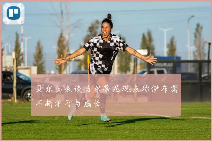 贝尔戈米谈马尔蒂尼观点称伊布需不断学习与成长
